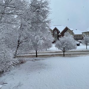 Meet your Posher, Sharon